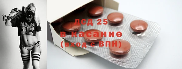 гашик Богданович