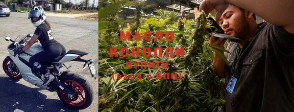 гашик Богданович