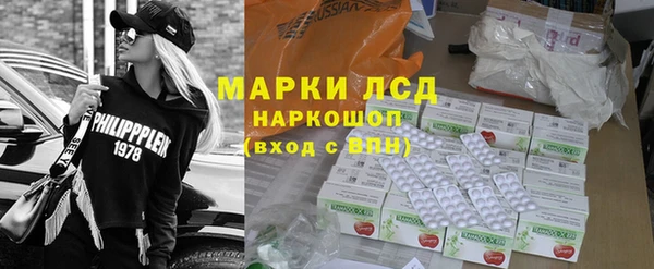гашик Богданович