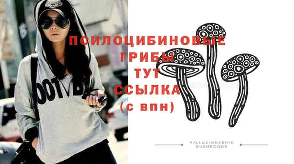 ешки Бронницы