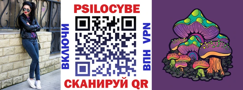 Галлюциногенные грибы Psilocybine cubensis  Малаховка 